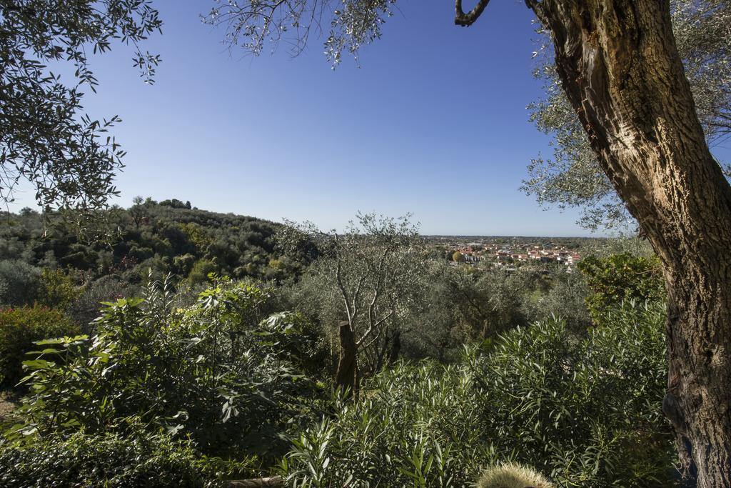 Locanda Al Colle Hotel Camaiore Room photo